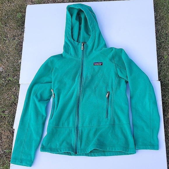 Patagonia Emmilen Hoodie in Emerald. Medium - Picture 1 of 9